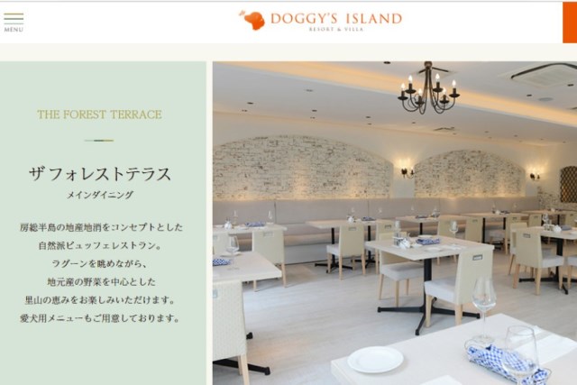 【千葉県】愛犬同伴！おすすめのドッグカフェ人気ランキング19選